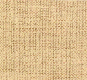 LINO 24